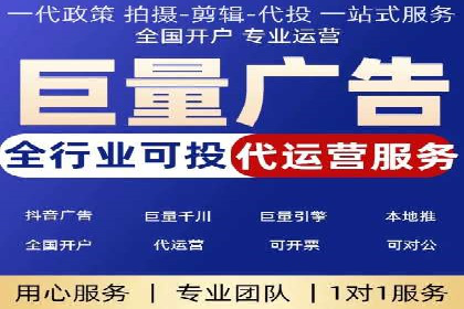 SEM竞价实战：成功案例解析